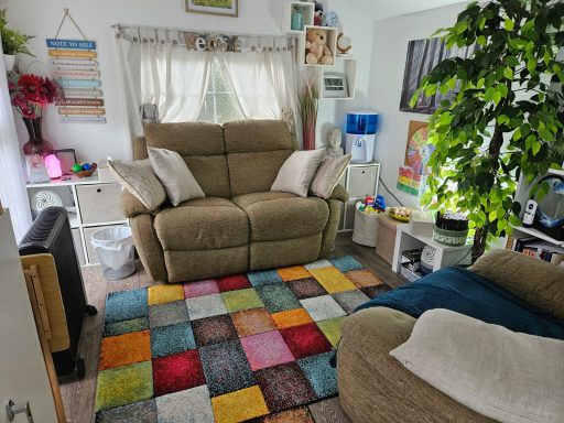 A cosy living room with a colourful rug, comfortable sofas, and house plants.